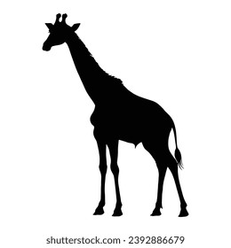 Giraffe Silhouette. Giraffe Vector Illustration.
