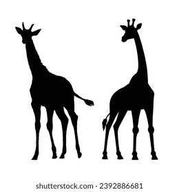 Giraffe Silhouette. Ilustración del vector de jirafa.
