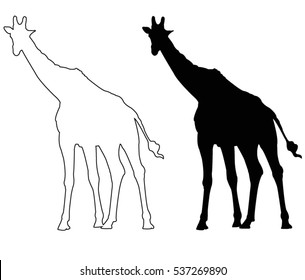 Giraffe silhouette, vector illustration