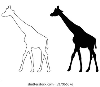 Giraffe Silhouette, Vector Illustration