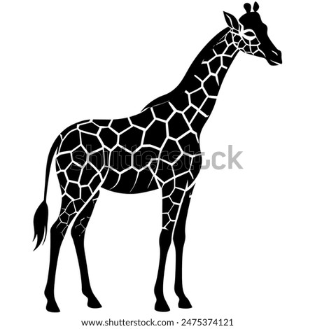 giraffe silhouette vector illustration Design in white background