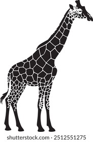 Giraffe Silhouette Vector on White Background, Giraffe Silhouette Vector, Giraffe Isolated on White