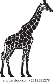 Giraffe Silhouette Vector on White Background, Giraffe Silhouette Vector, Giraffe Isolated on White