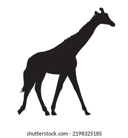 Giraffe silhouette vector with white background