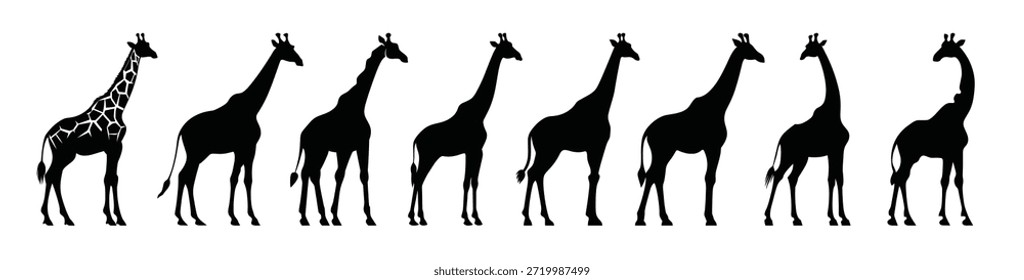 Giraffe Silhouetten Clip Art Set Giraffe Schwarz Silhouette