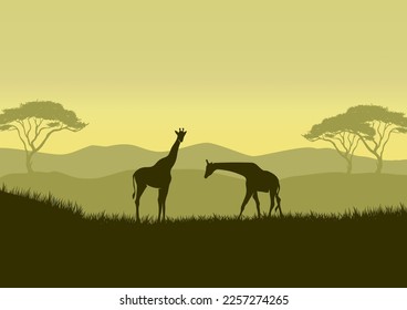 Giraffe silhouettes in savanna landscape vector illustration