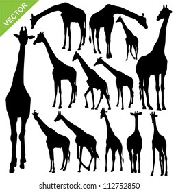 Giraffe silhouettes vector