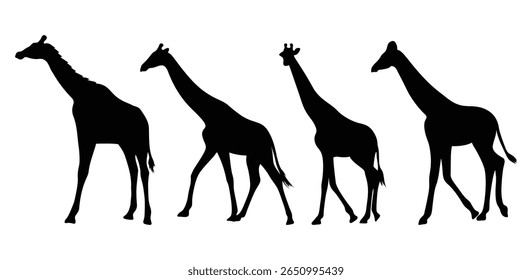 Silhuetas girafa vetor isolado plano