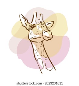 Giraffe sketch portrait.. Hand drawn color illustration. Wild animal drawing