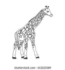 Giraffe Sketch Style Stock Vector (Royalty Free) 613225589 | Shutterstock