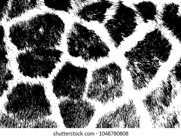 Giraffe skin seamless pattern, animal background, tribal ornament, vector