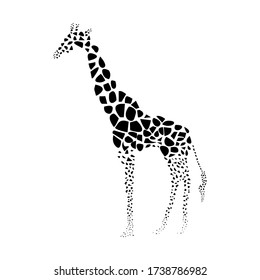 Giraffe skin silhouette vector illustration