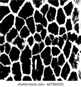 giraffe skin texture Grunge overlay texture Abstract vector template