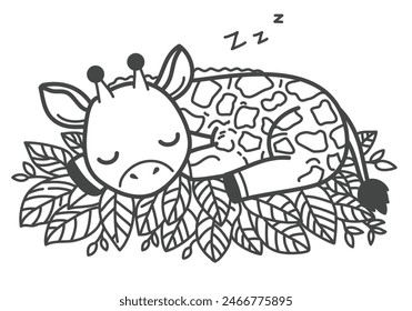 The giraffe sleeps contentedly, hugging a  leaves, its favorite food. Hand drawing vector illustration in black outline on a white background.