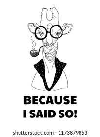 Сartoon giraffe, smoking a pipe, with glasses. Ironic look. Cozy funny line illustration. Inscription: Beacause I said so!