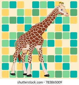 Giraffe in squares. Vector illustration of a giraffe on a background of multi-colored squares.