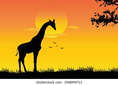A giraffe standing Against a Sunset Vector illustration, African nature with a wild Giraffe. Black silhouette of a Giraffe,wild animal jungle background 