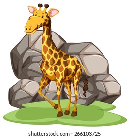 Giraffe standing in front of big rocks