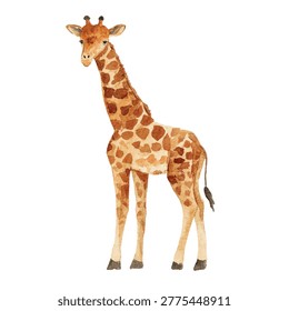 Giraffe standing with long neck looking