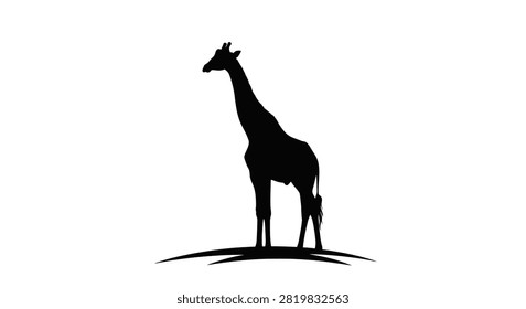 Giraffe Standing On Hillside Black Silhouette animal