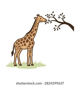 A giraffe stands in a grassy field eating leaves from a tree branch in a serene nature scene with wildlife animal