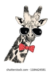 Giraffe in sunglasses.Vector illustration