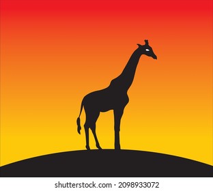 giraffe in the sunset high vector