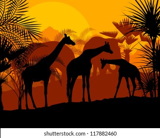 Giraffe at sunset vector background