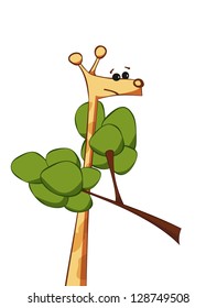 giraffe and a tree