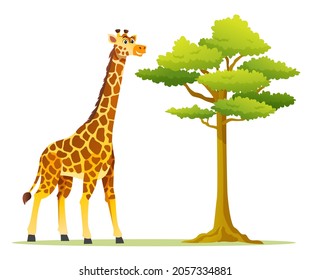 Giraffe with tree cartoon illustration
