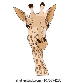 Giraffe Tropical Animal Hand Drawing Isolated Stock Vector TheNicStudio | Giraffe art, Giraffe illustration, Giraffe