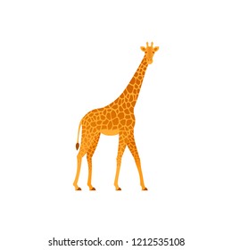 Giraffe. Vector. Animal of Africa. Wild nature. Tropical fauna isolated in flat design. Zoo mammal on white background. Cartoon Illustration.