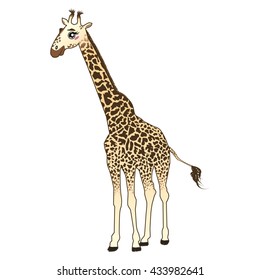 Giraffe vector cartoon