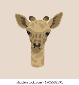 
giraffe vector cute animal illustration logo