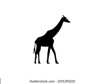a giraffe in vector form for a logo or icon