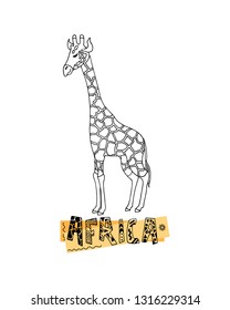 Giraffe vector. Hand drawn giraffe and word Africa isolated on white background.