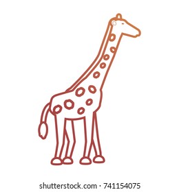 giraffe  vector illustraion
