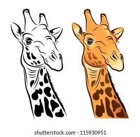 Giraffe - vector illustration