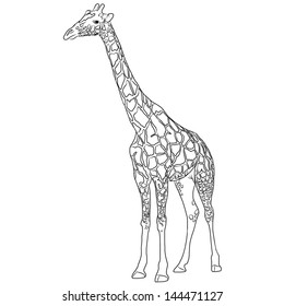 Giraffe vector illustration