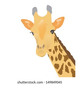 Giraffe - vector illustration 