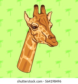 Giraffe. Vector illustration