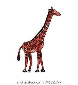 giraffe  vector illustration