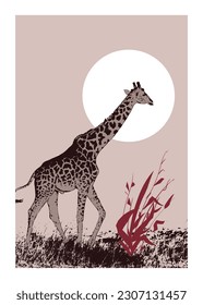 Giraffe vector illustration amidst wild nature. Isolated on light background, with exotic grass