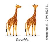 Giraffe vector illustration, cartoon clipart character, animal in flat style. Wild animals, wild creatures, wildlife concept. Giraffe vector design isolated on white background