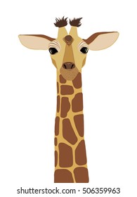 Giraffe vector illustration in color 