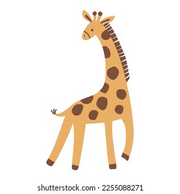 Giraffe. Vector illustration of cute safari animal.