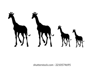diseño de ilustración de vector de jirafa en blanco y negro