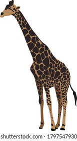 Giraffe in vector. The illustration is hand-drawn. In an abstract style. Suitable for postcards, printing on fabric, T-shirts, notebooks.