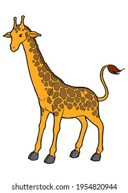 giraffe vector illustration,
isolated on white background.top view