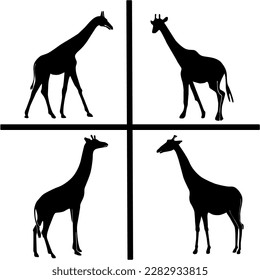 Giraffe vector illustration logo icon silhouette set